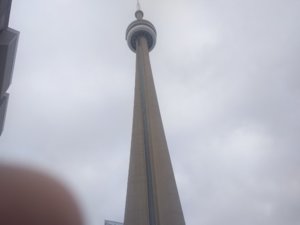 IMG_20191207_132617625.jpg