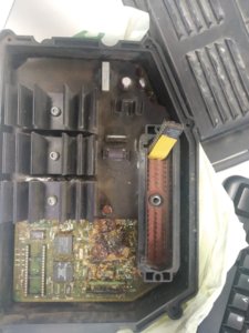 WhatsApp Image 2020-02-24 at 14.49.43.jpeg