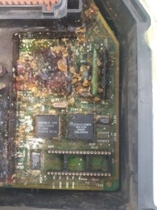 WhatsApp Image 2020-02-24 at 14.49.44.jpeg