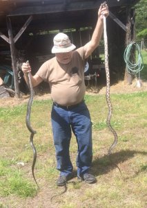 Snakes.jpg Snakes.jpg