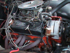 DSC00178.JPG
