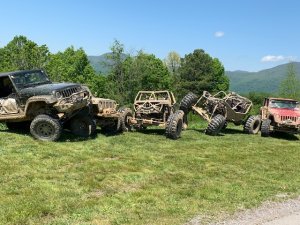 IMG_2955.jpg
