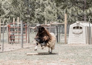 D6574DA3-0669-4026-9D7F-D184506ED47D.jpeg