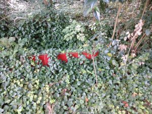 IMG_20200911_155949346.jpg