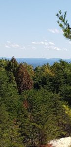20201003_131606.jpg