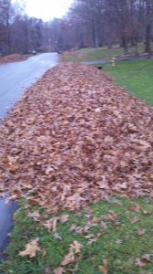 LeafBattle2012.jpg LeafBattle2012.jpg