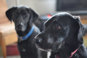 DSC_1167.JPG DSC_1167.JPG