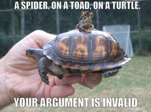 turtle-toad-spider.jpg