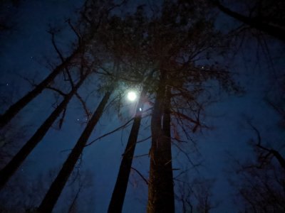 PXL_20210122_234453659.NIGHT.jpg