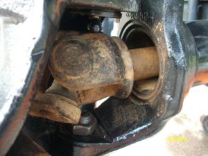 SANY0449.jpg