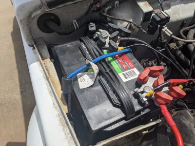 PXL_20210510_164447541.jpg
