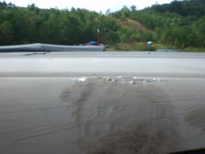 CIMG4929.jpg