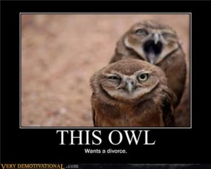 demotivational-posters-this-owl.jpg