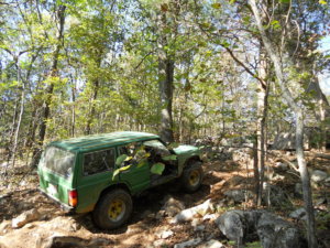 Copy of dixie run and logans field trip 012.jpg