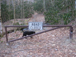 Robbinsville Trail head.jpg