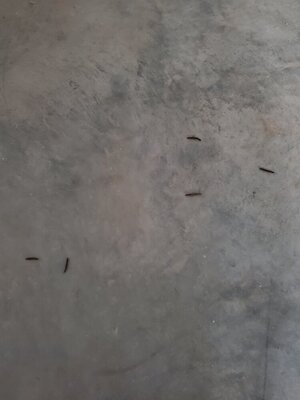 20210709_205354.jpg