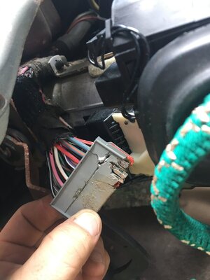 99D294FD-2ACA-4502-BF53-ABD2BA988BEF.jpeg