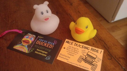 0811212134.jpg 0811212134.jpg