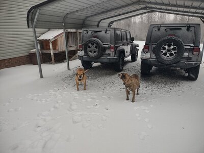 IMG_20220116_163452797_HDR.jpg