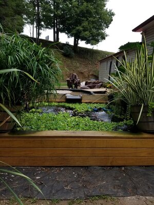 pond1.jpg