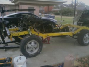 mms_picture (3).jpg