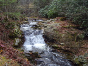 Hurricane Creek Cleanup with Appalachian 4x4 010.JPG