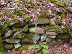 Hurricane Creek Cleanup with Appalachian 4x4 020.JPG