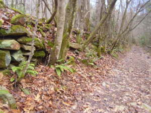 Hurricane Creek Cleanup with Appalachian 4x4 018.JPG