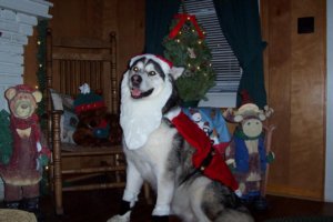 denverxmas.jpg