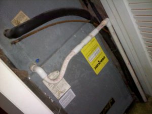 20120104211107.jpg 20120104211107.jpg