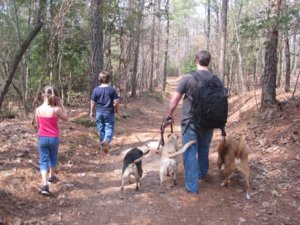 hike II.jpg