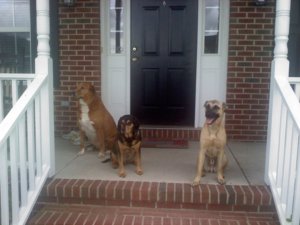 on the porch.jpg