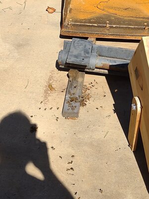 IMG_20220926_113133692.jpg