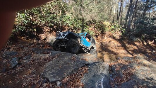IMG_20221029_124829251.jpg