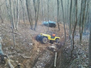 ol jeeps crossed up.jpg