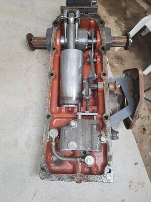 20230312_111631.jpg