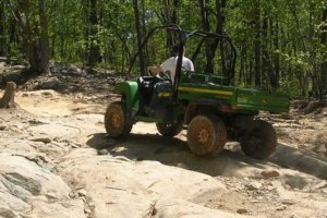 Gator02.JPG