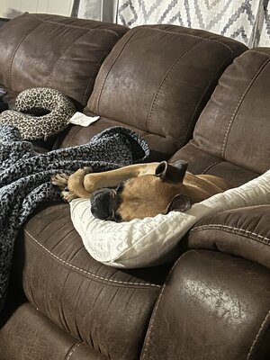 IMG_4322.jpeg