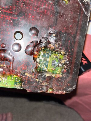 IMG_1069.jpeg