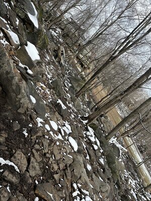 IMG_5948.jpeg