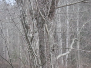 IMG_3762.JPG