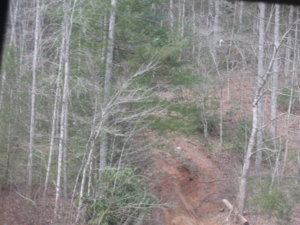 IMG_3764.JPG