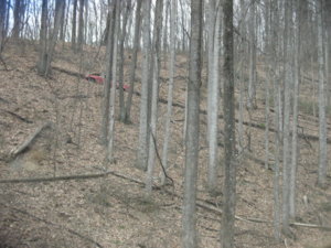 IMG_3773.JPG