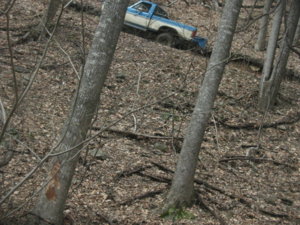 IMG_3774.JPG
