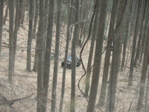 IMG_3775.JPG