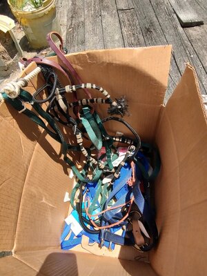 Box of Halters and Horse Stuff.jpg