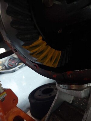 image000002.jpeg