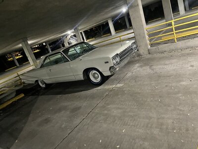 IMG_2712.jpeg