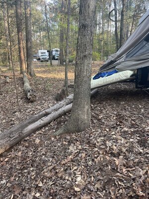 IMG_8897.jpeg