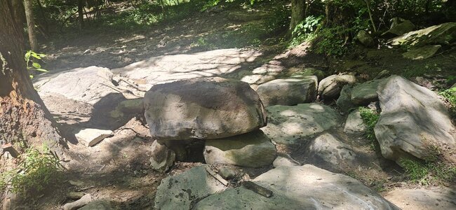 20240615_113815.jpg 20240615_113815.jpg